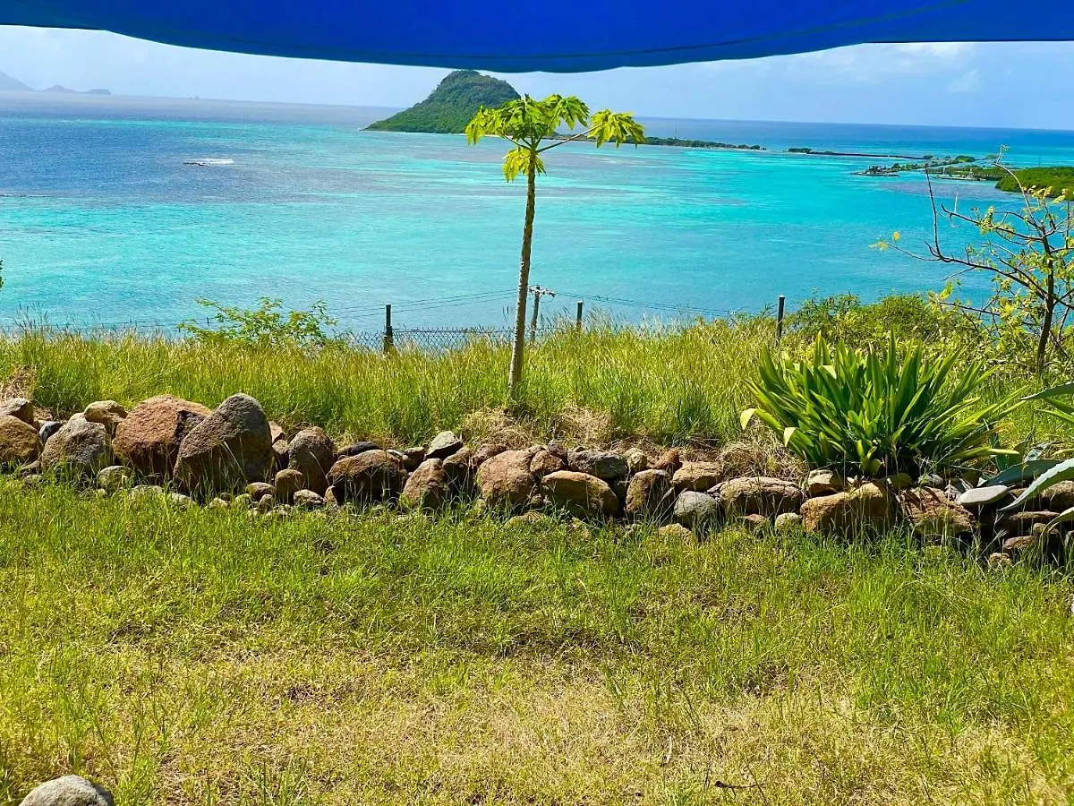 Homestay Lagoon View Apartment Clifton