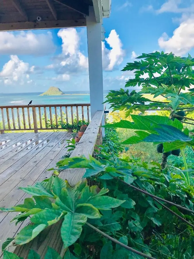 Homestay Lagoon View Apartment Clifton Saint Vincent and the Grenadines